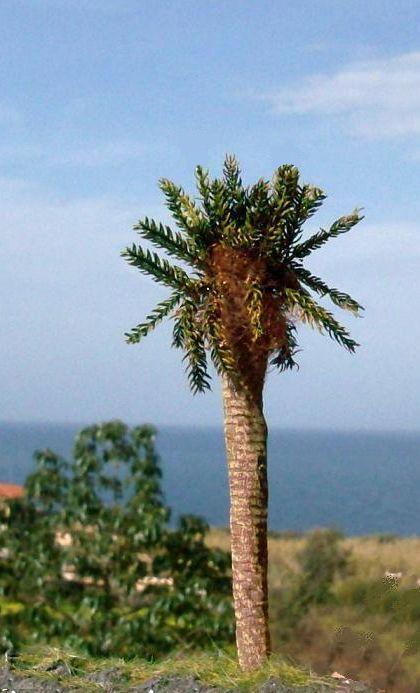 HPIM0105 - Copia.JPG