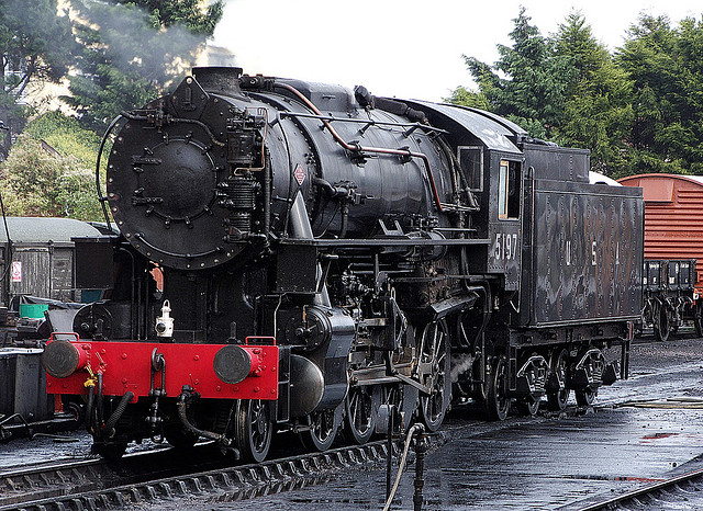 2942828936_18b1b9b9e2_z (1) 2.jpg