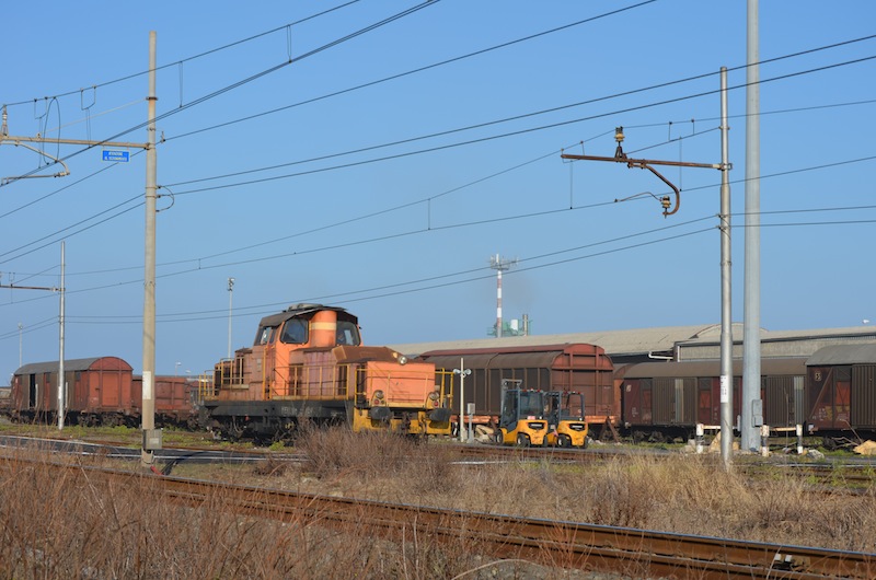 DSC_1010.JPG