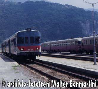 Aln668_1237_-Aln448_460-accantonati-Primolano-20.06.1985-diapositiva.jpg