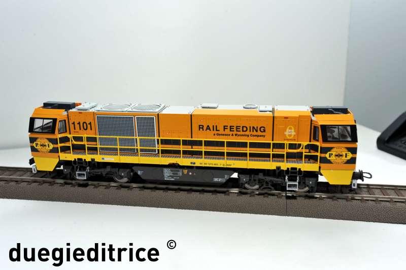 DSC_8811_rid.jpg