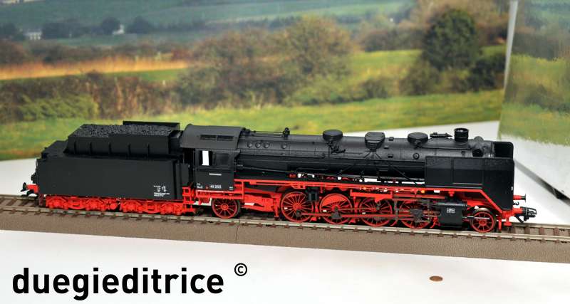 DSC_8859_rid.jpg