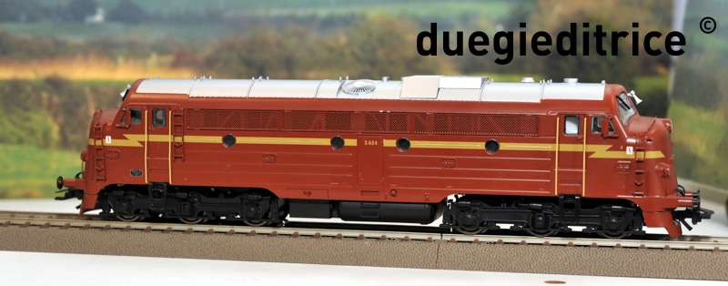 DSC_8862_rid.jpg