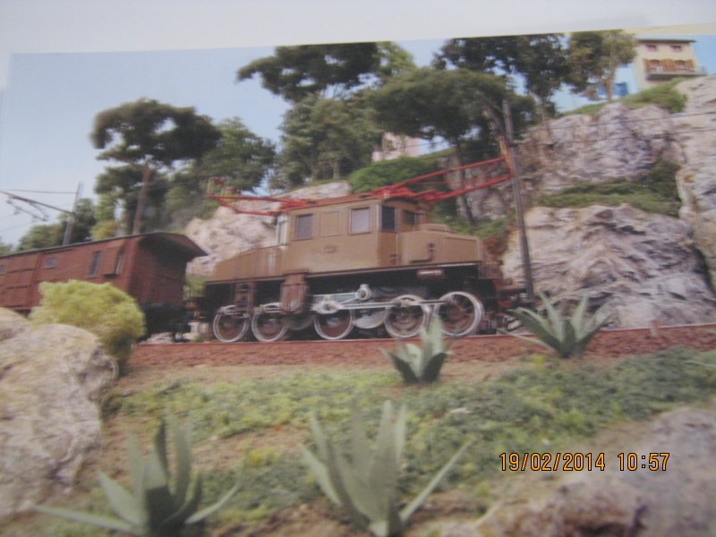 IMG_2609 (800x600).jpg