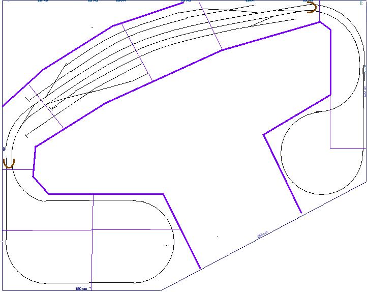 Doppio binario ad osso di cane - 1.JPG