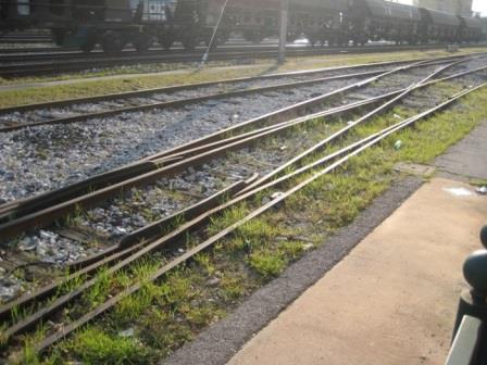 Inglese Mozzoni 1 IMG_1626.jpg