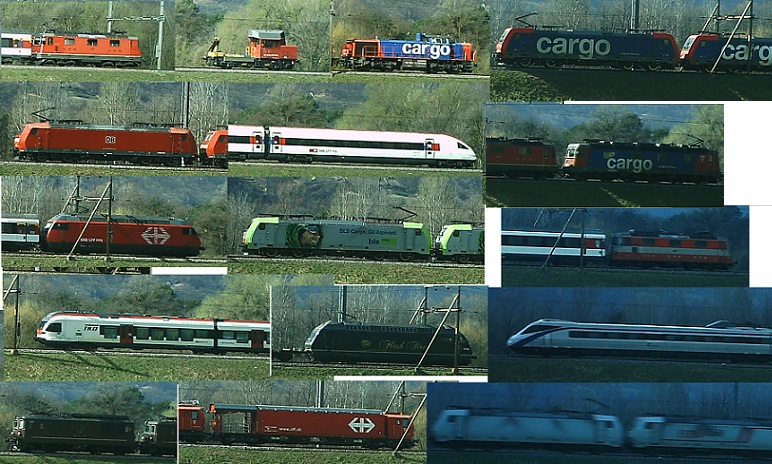 Collage 18_marzo rid.jpg