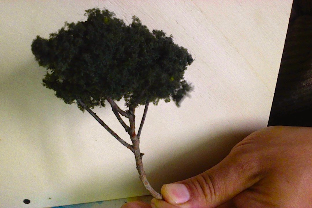 PinoMarittimo Woodland.jpg