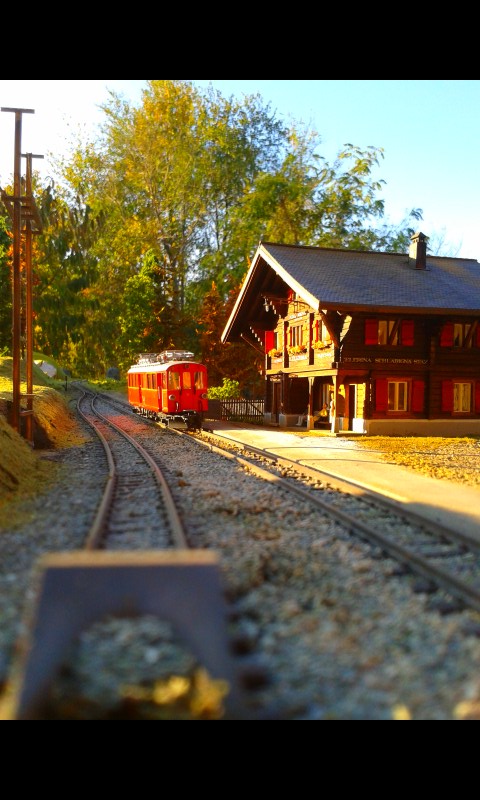 2012-11-14 15.15.31.JPG