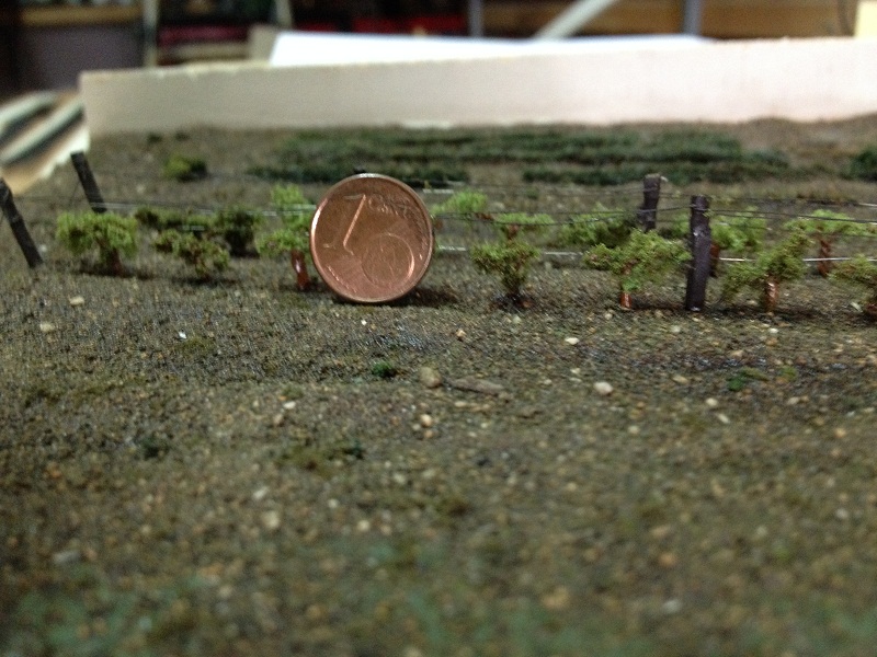 dimensione vigneto.JPG