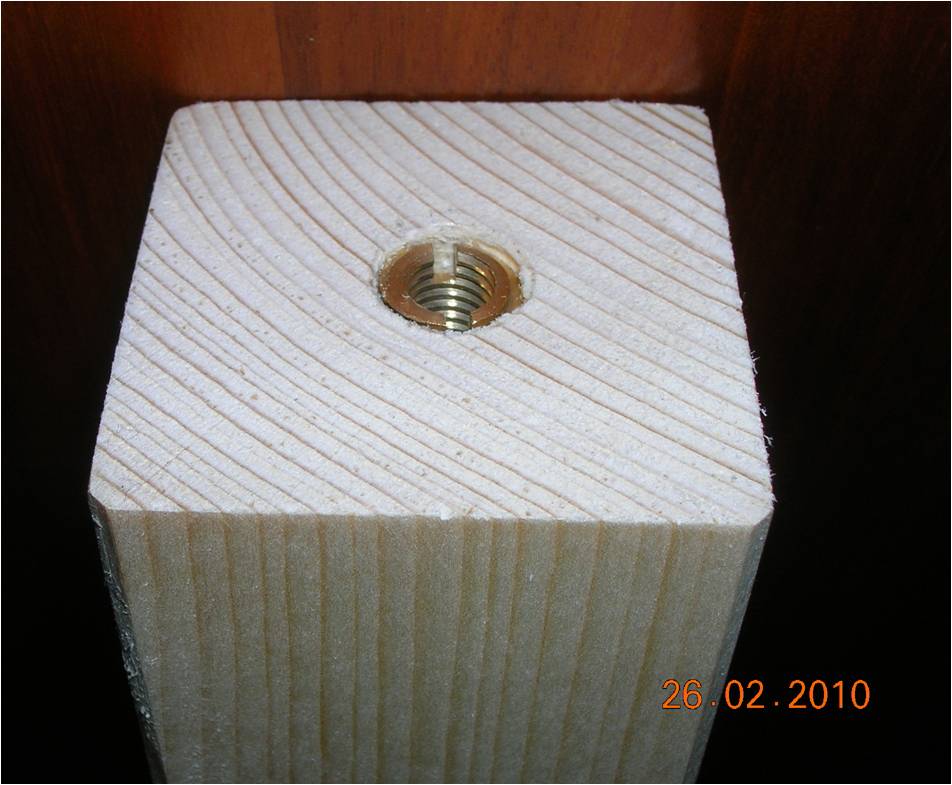 Zampa da sotto 2.jpg