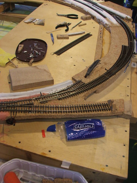 locazione del deviatoio 'doc Frankenstein'.JPG