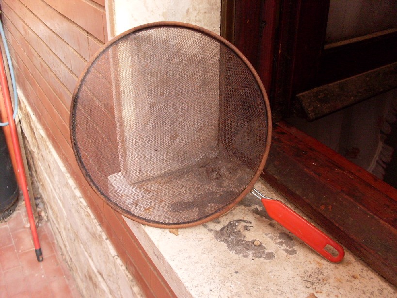 Copia di SDC12072.JPG