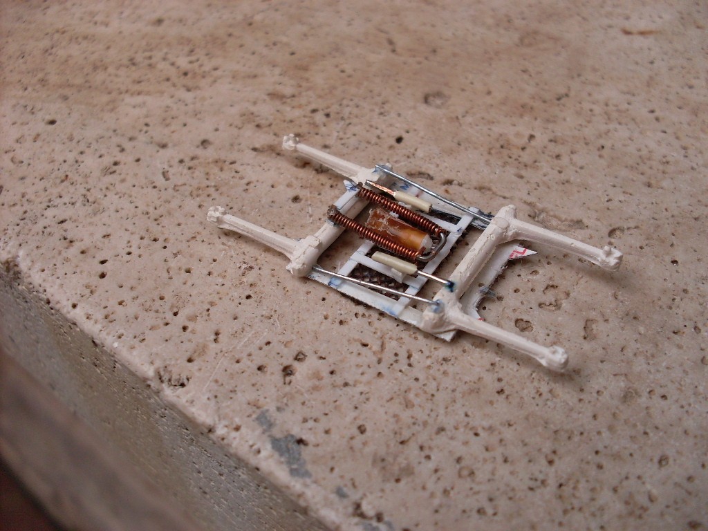 Copia di SDC12097.JPG