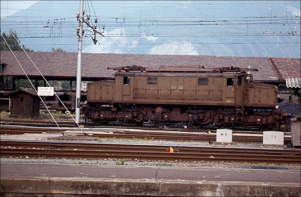 E626.XXX con ganascia.JPG