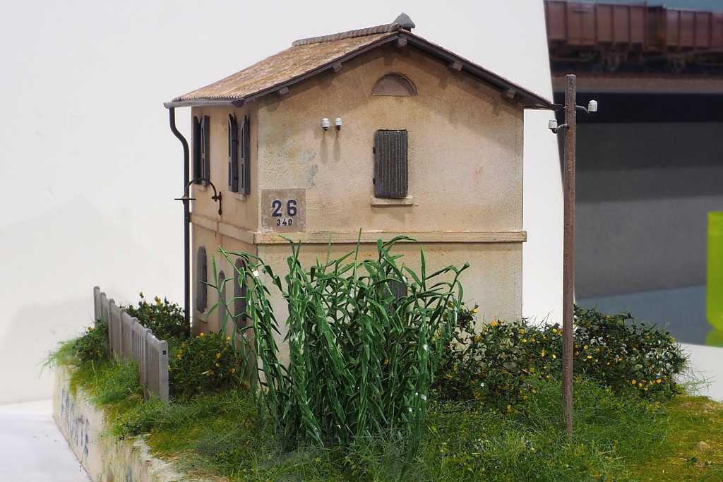 Canneto 01 forum.jpg