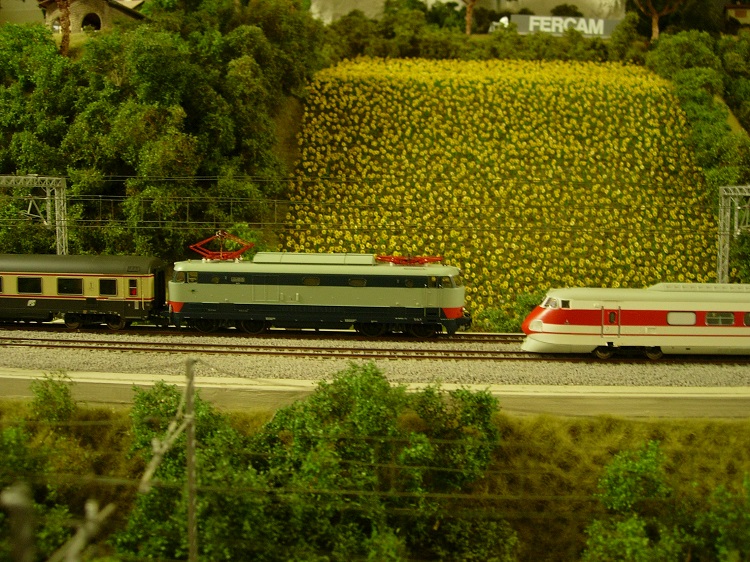 Incontro anni 90 DD E444-ETR450.jpg