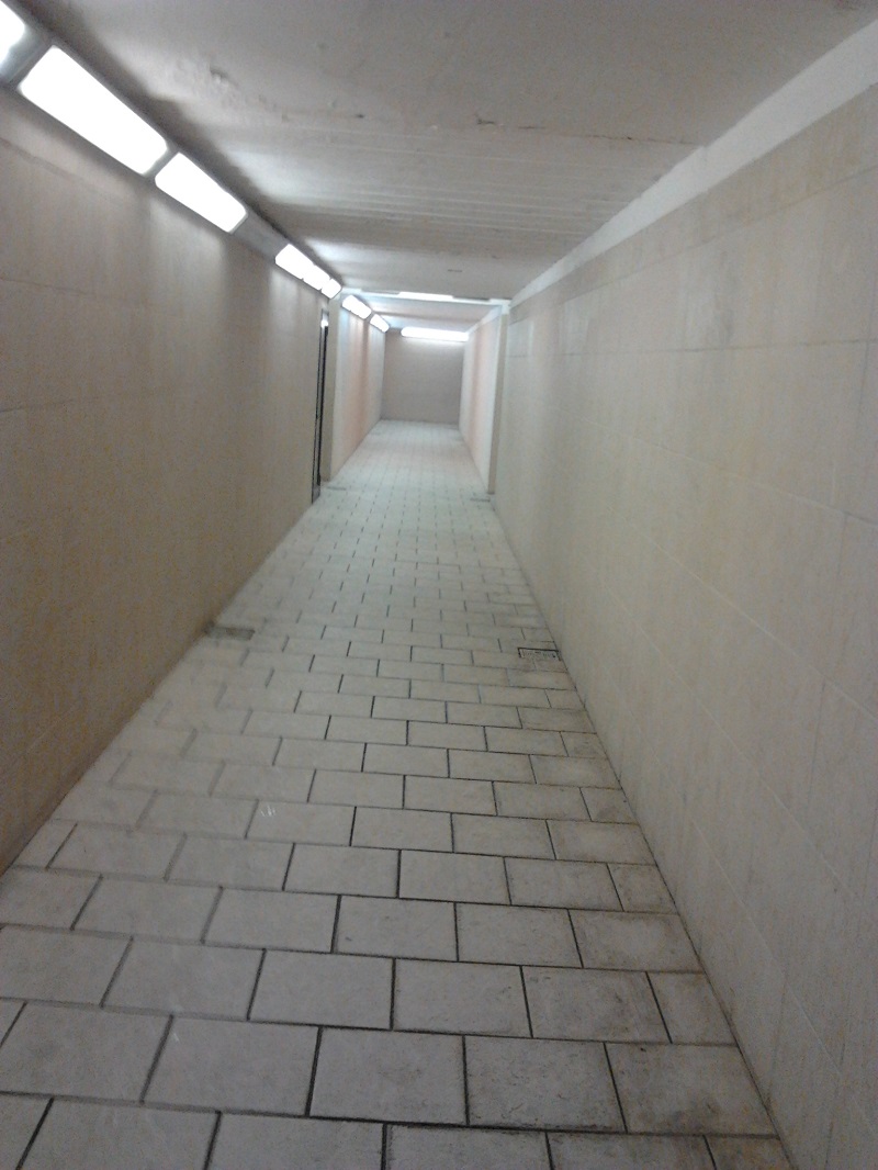 2014-11-10 06.43.32.jpg