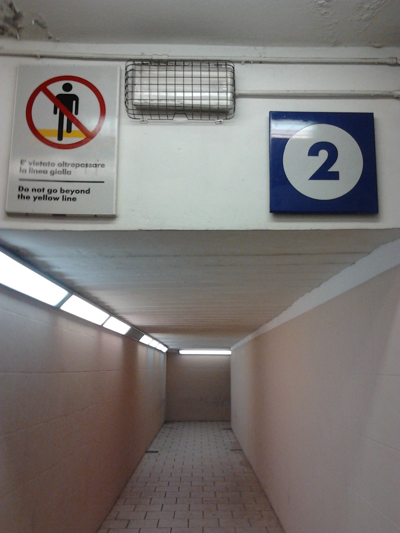 2014-11-10 06.47.11.jpg