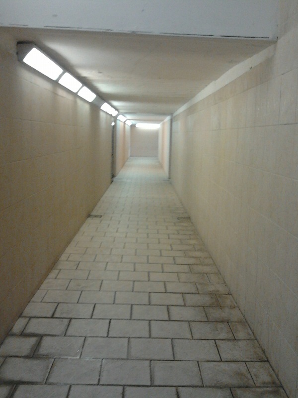 2014-11-15 07.30.04.jpg