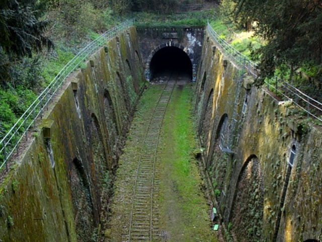 petite-ceinture-montsouris.jpg