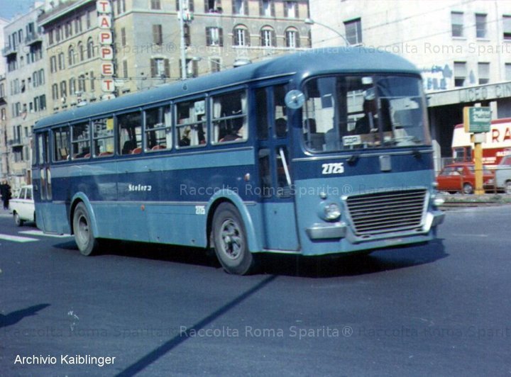 romasparita_2783.jpg