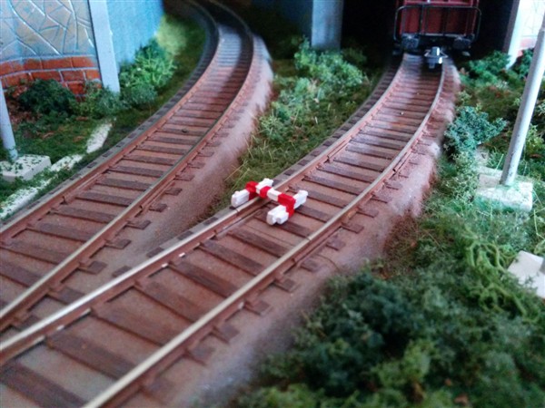 IMG_20150510_113624-1 (600 x 450).jpg