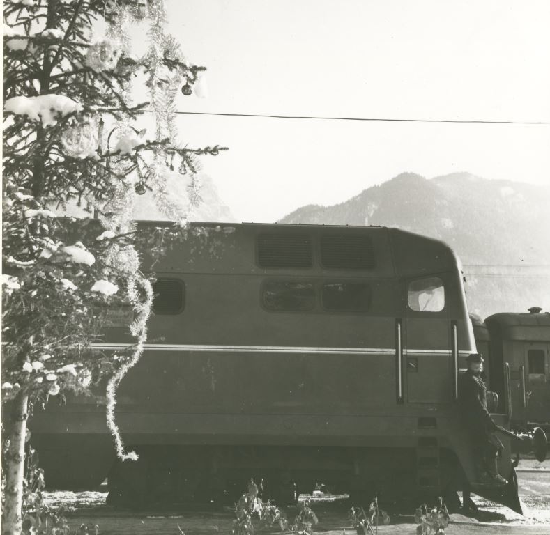 D 342 Calalzo foto FS 02.jpg