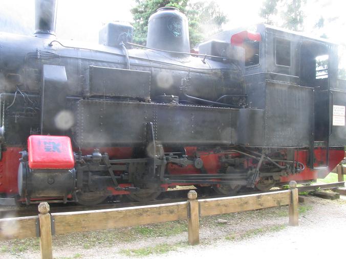 IMG_2672 GR410 vera monumentata ad Ortisei al 33perCento.JPG