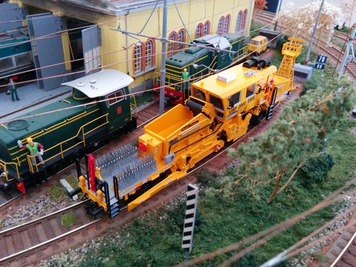 IMG_20150628_165731 (Copy).jpg