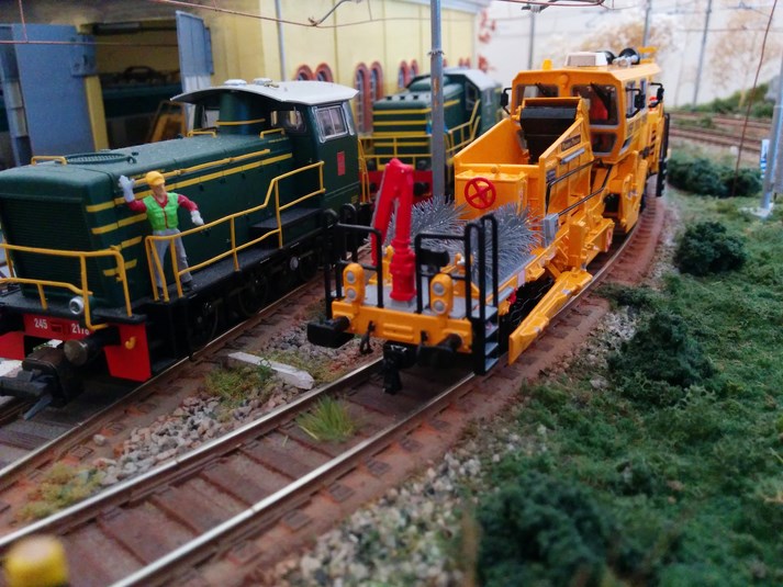 IMG_20150628_165837 (Copy).jpg