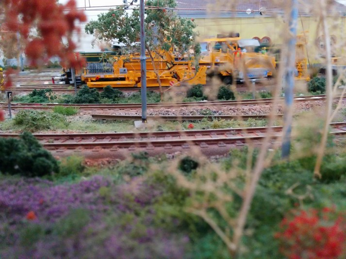 IMG_20150628_165818 (Copy).jpg