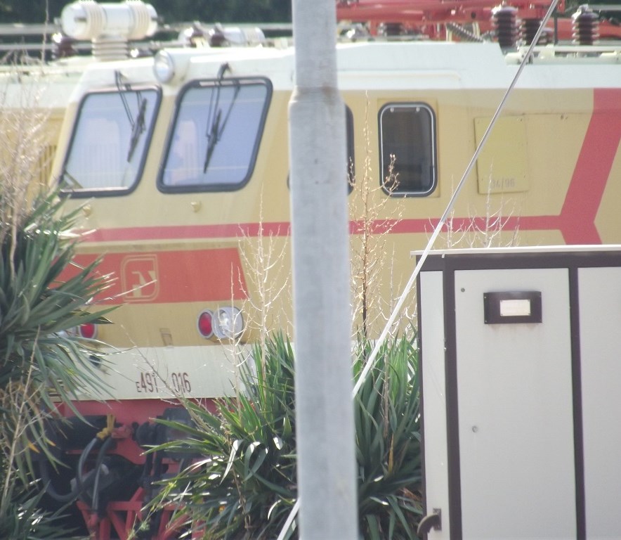 Foligno 07 07 2015 E491 particolare.JPG