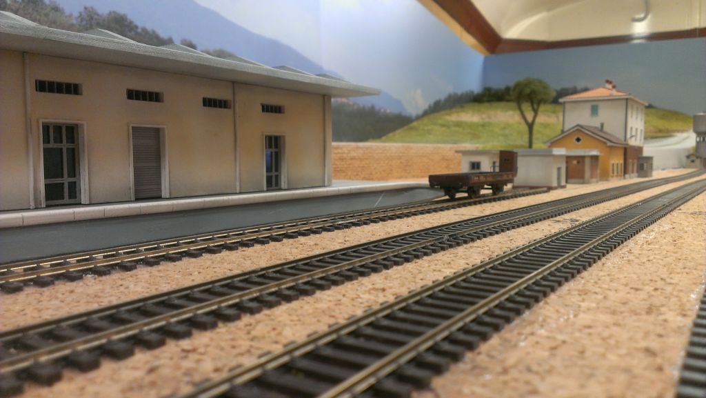 2015-07-23 19.14.32.jpg