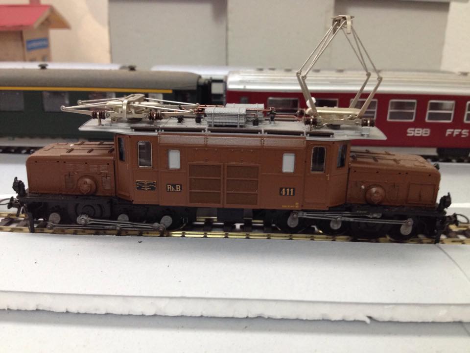 cocodrillo della retica guzwold.jpg