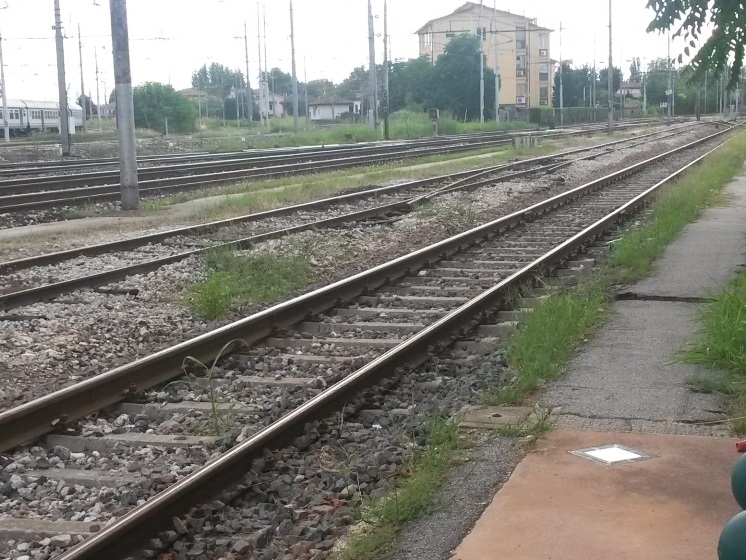 Mozzoni TV 2015.07.28.jpg