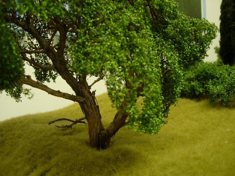 Albero Silhouette 01.jpg