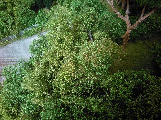 Cespugli filigrani Silhouette 03.jpg