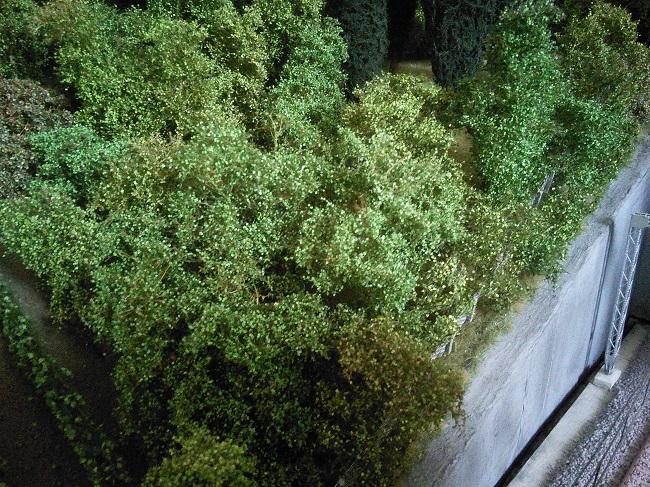 Cespugli filigrani Silhouette 05.jpg