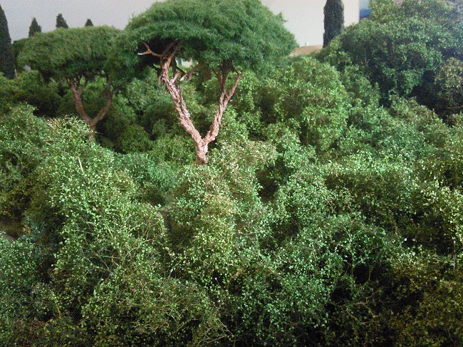 Cespugli filigrani Silhouette 06.jpg