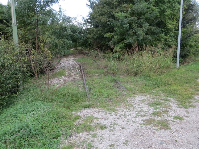 2015.09.26 chions azzano decimo Roberto Marcuzzo IMG_2544.JPG