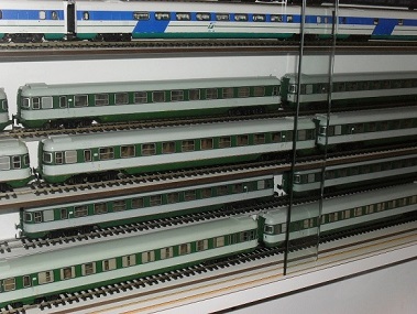 SDC10144.JPG