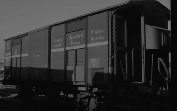 carro prodotti agricoli.jpg