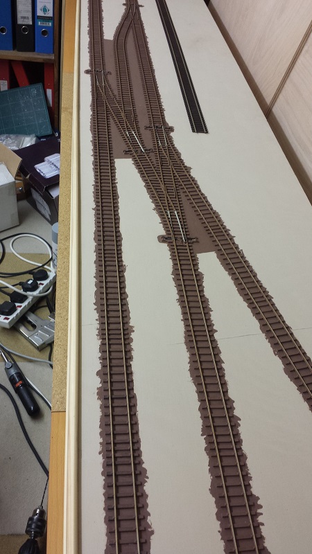 20151102_184009_1 (1).jpg