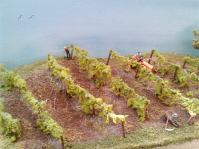 vigneti collina d'oro.jpg